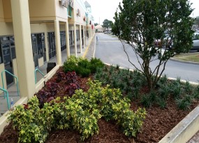 Landscaping Lakeland FL